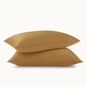 22 Momme Silk Pillowcase (2 pack)