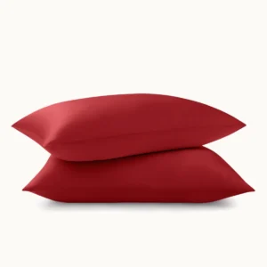 19 Momme Silk Pillowcase (2 pack)