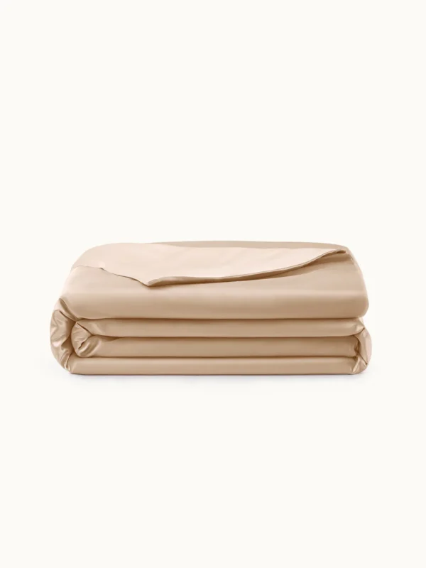 All Season Silk Comforter Set - Image 2